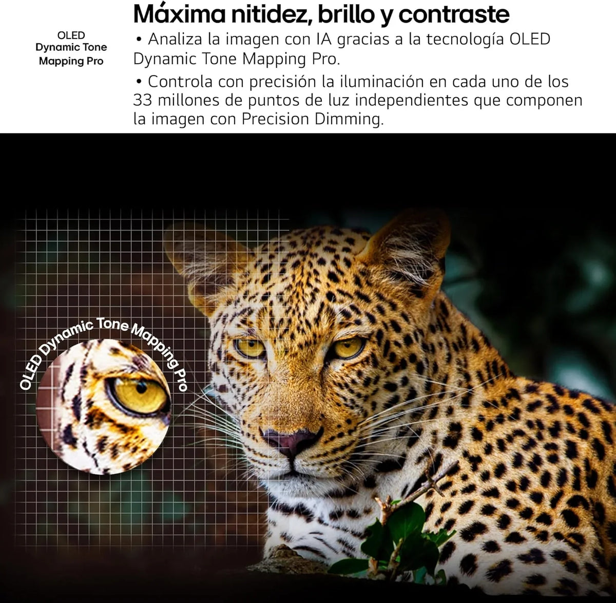 OLED48C54LA TV OLED evo 48" 4K Smart TV webOS 25, Dolby Vision, Dolby Atmos, 120 Hz