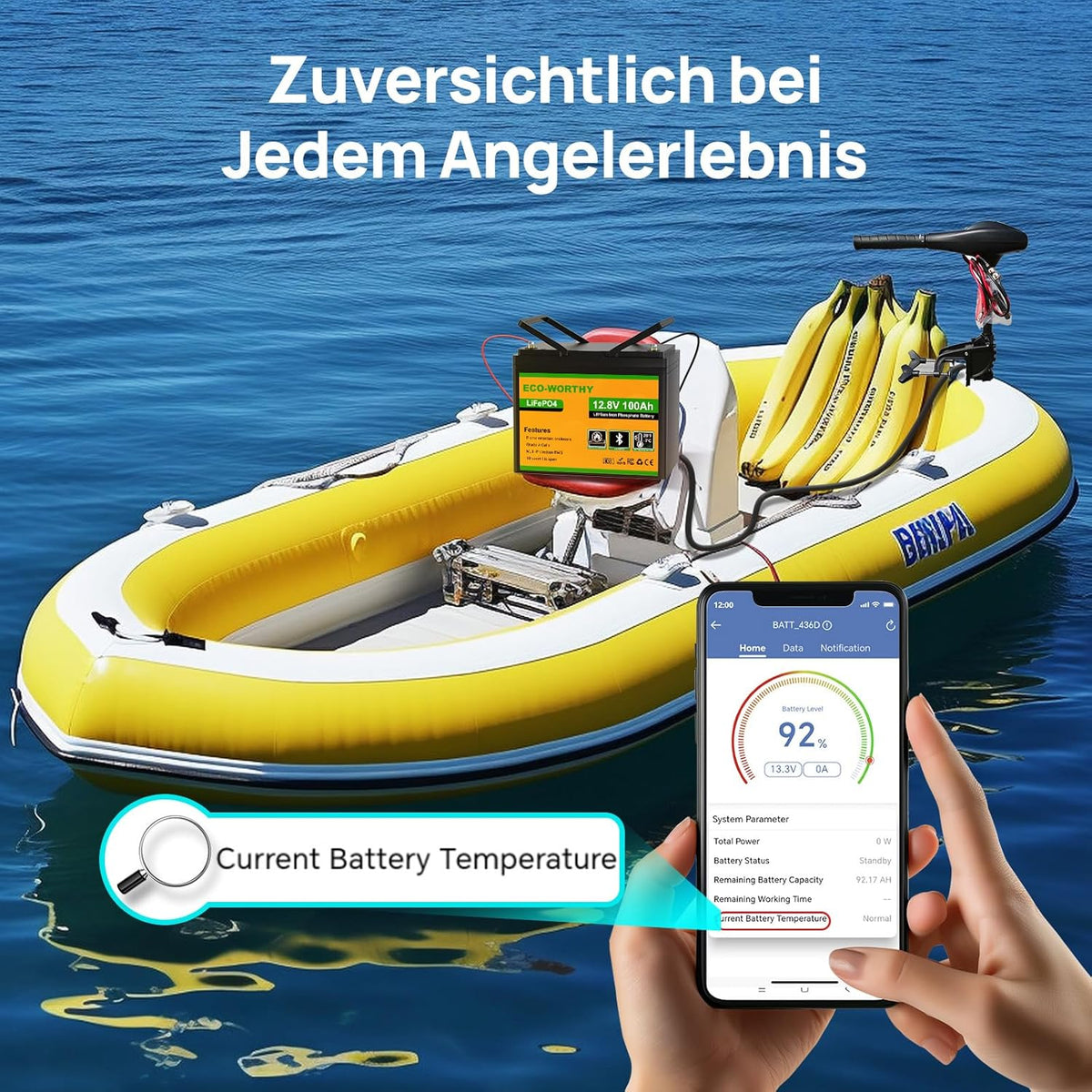ECO-WORTHY Batería LiFePO4 12 V 100 Ah Bluetooth con BMS 100 A y Protección Baja Temperatura