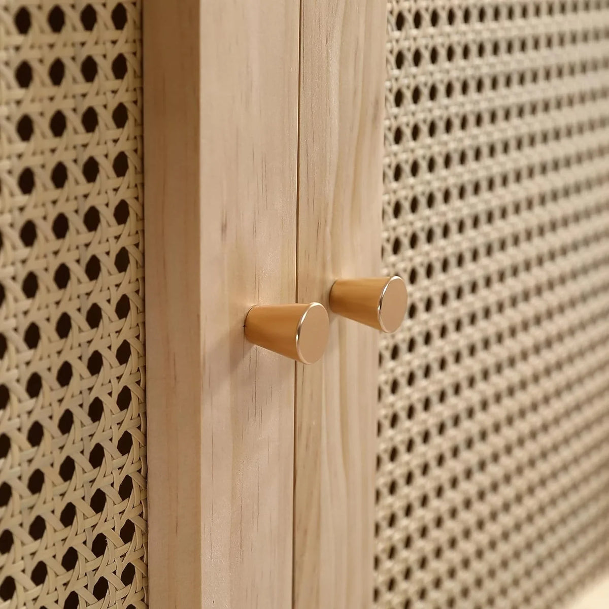 Soweiz Armario de 2 Puertas con Barra y Ratán PE, Natural, para Dormitorio o Salón