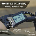 Bicicleta Eléctrica Plegable 14" Motor 250 W, Batería 36 V 6,4 Ah, Pantalla LCD