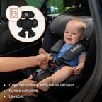LIONELO Bastiaan RWF i-Size Silla de Coche Giratoria 360° de 40 a 150 cm, Isofix y Top Tether