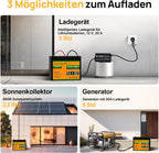ECO-WORTHY Batería LiFePO4 12 V 100 Ah Bluetooth con BMS 100 A y Protección Baja Temperatura